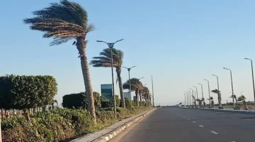 طقس غير مستقر.. الأرصاد تحذر من رياح مثيرة للرمال والأتربة بعدة محافظات